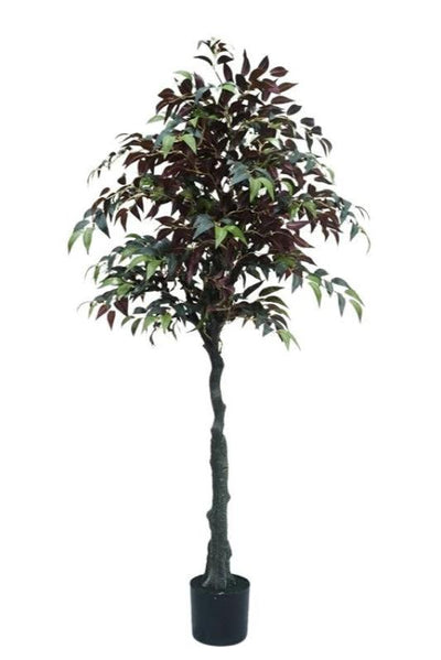 Kunstplant Ficus 150cm by NeverLeafs