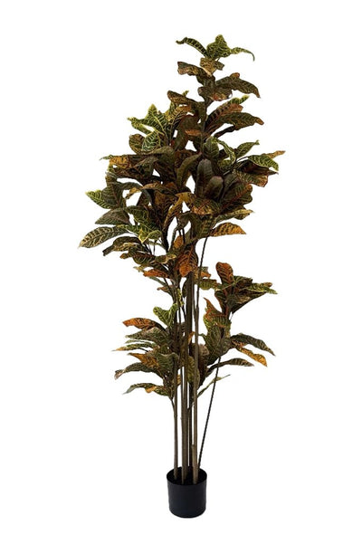 Kunstplant Ficus Deluxe 180 cm by NeverLeafs