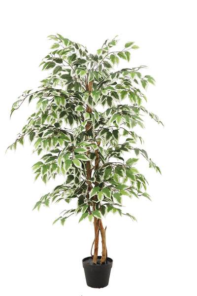 Kunstplant Ficus groen 140cm by NeverLeafs