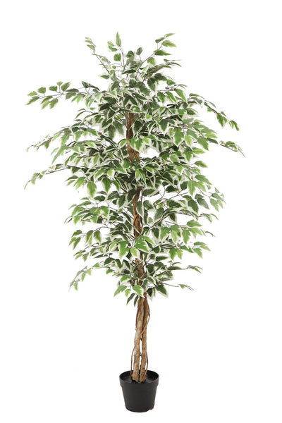 Kunstplant Ficus groen 160cm by NeverLeafs