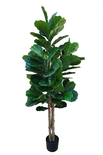 Kunstplant Vioolbladplant 160cm