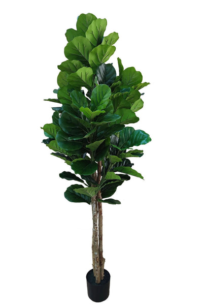 Kunstplant Vioolbladplant 185cm by NeverLeafs
