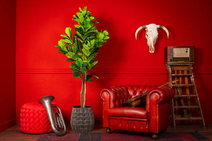 Kunstplant Vioolbladplant 185cm