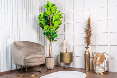 Kunstplant Vioolbladplant 185cm by NeverLeafs