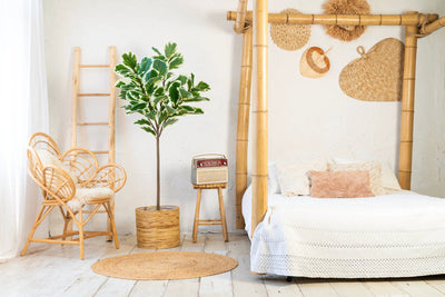 Kunstplant Ficus Lyrata Deluxe 160cm by NeverLeafs