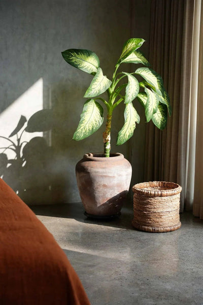 De Chuka-mand by Bazar Bizar Antwerp