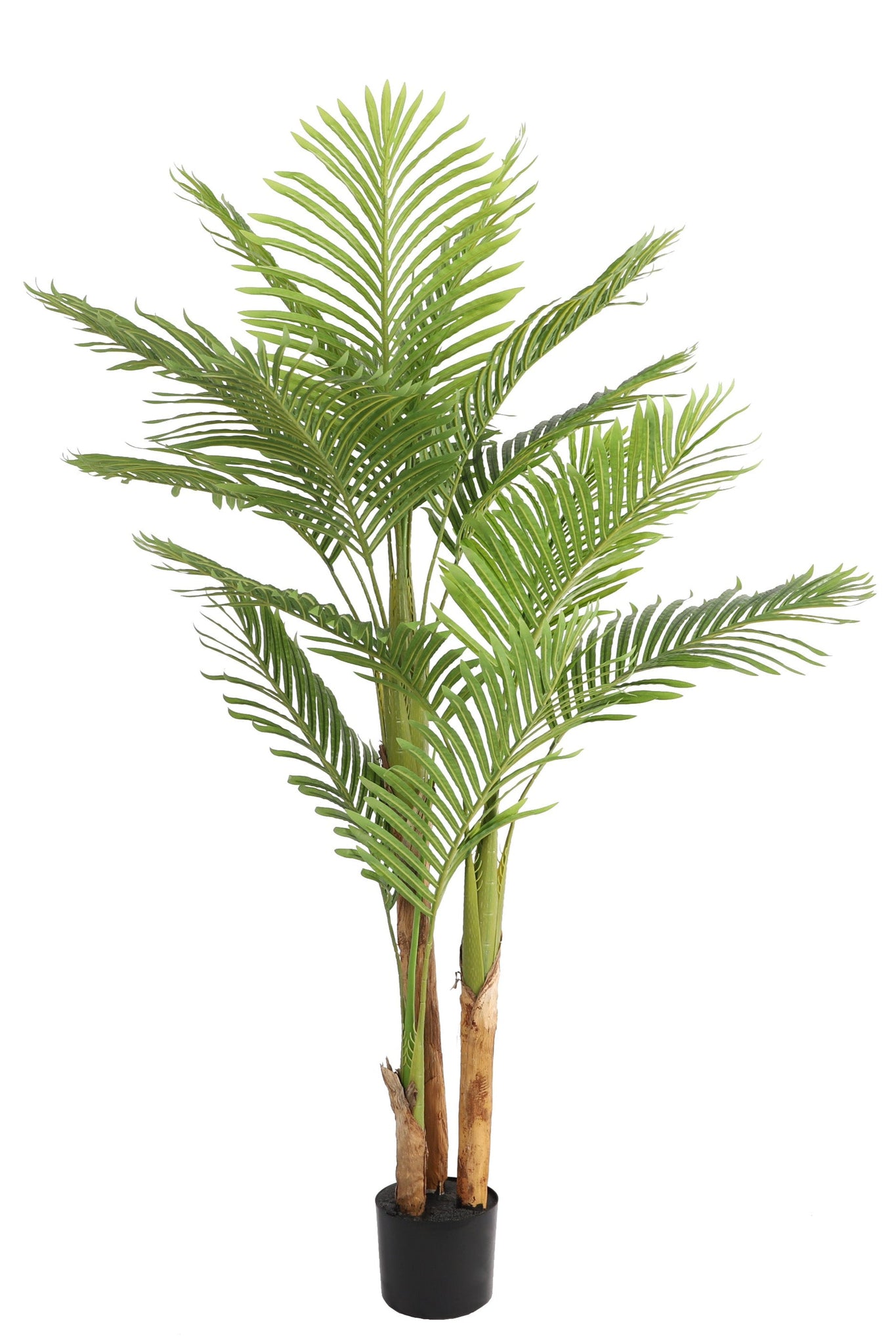 Kunstplant Kentia-palm 170cm