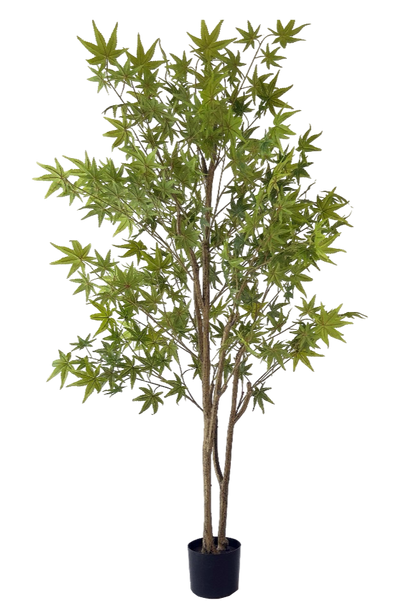 Kunstplant groene esdoorn 180cm by NeverLeafs