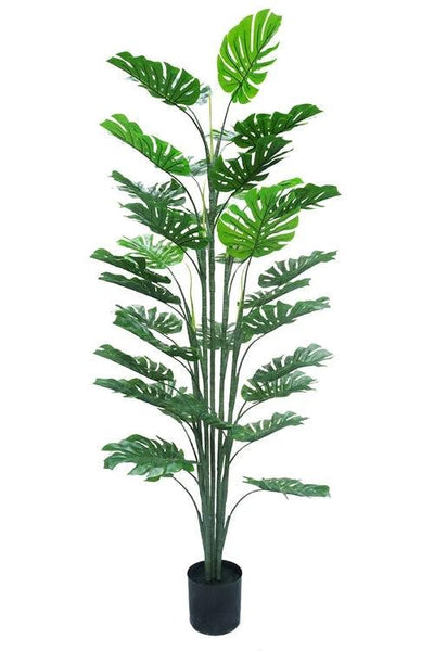 Kunstplant Monstera 160cm by NeverLeafs