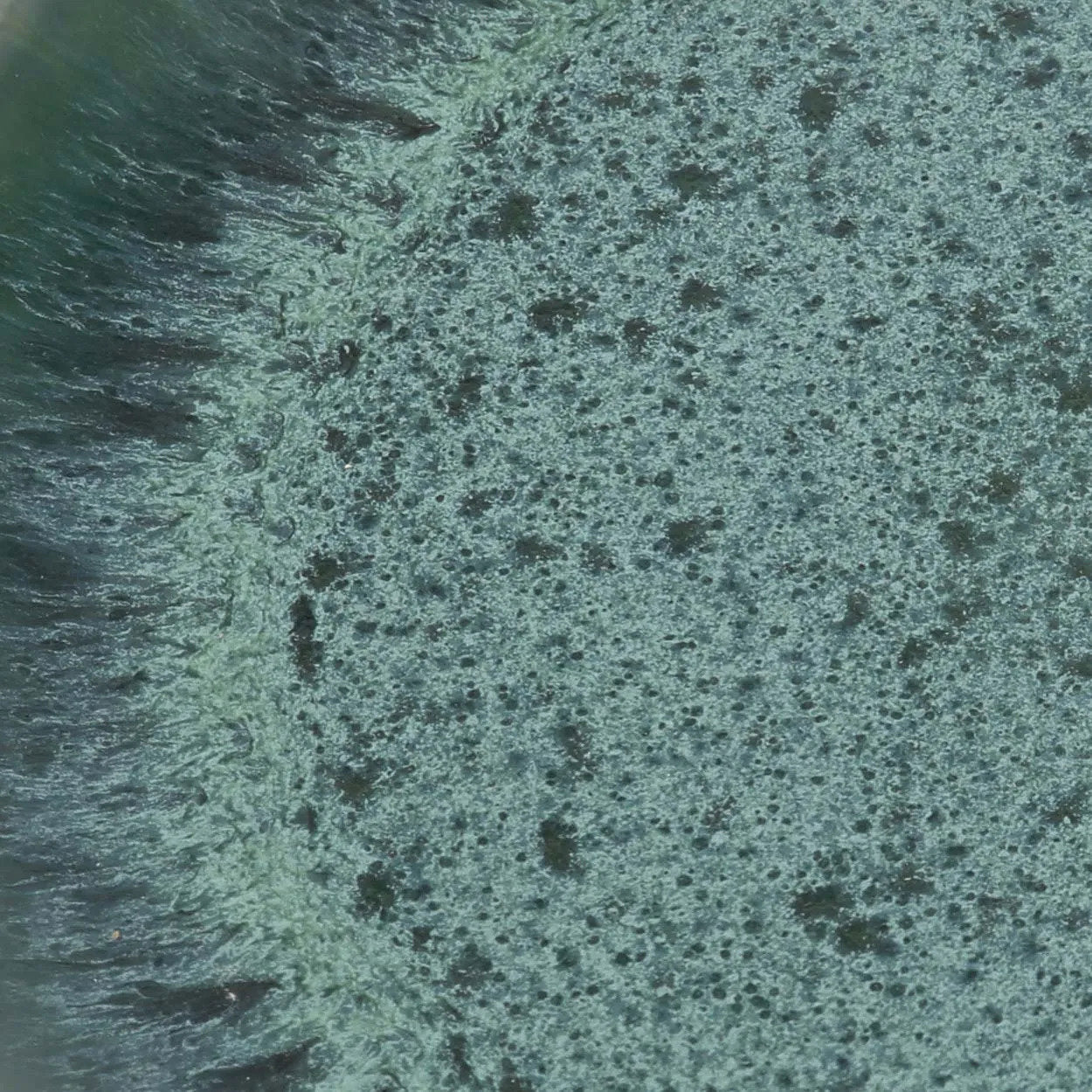 De Aqua Dinerbord - Set van 4