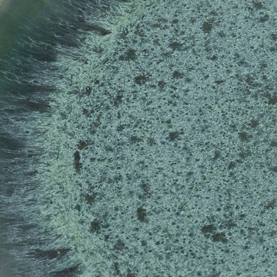 De Aqua Dinerbord - Set van 4 by Bazar Bizar Antwerp