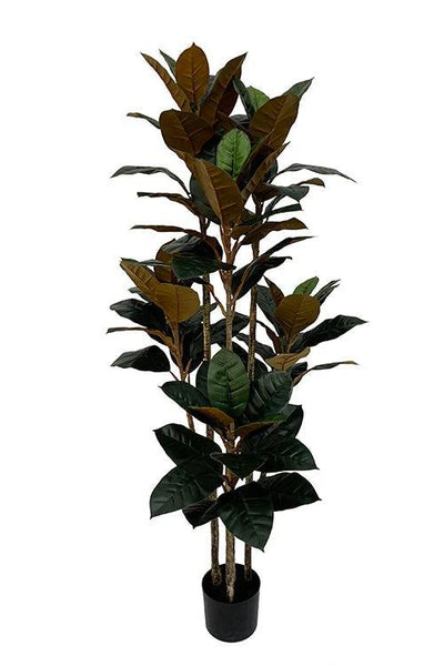 Kunstplant Rubberboom 160cm by NeverLeafs