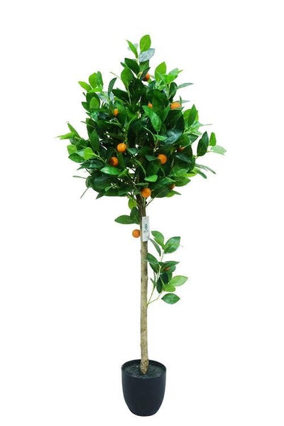 Kunstplant Sinaasappel kunstboom 170cm by NeverLeafs