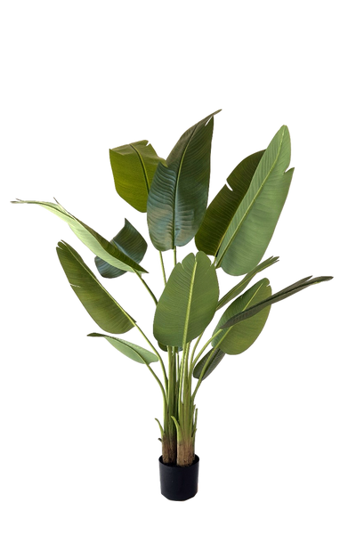 Kunstplant Strelitzia 150cm by NeverLeafs