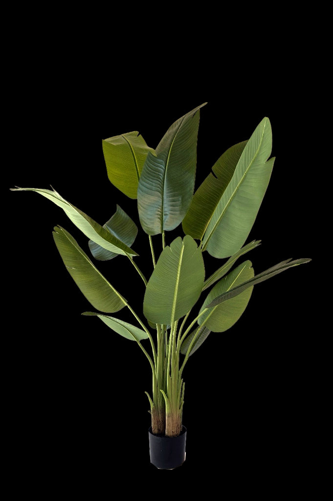 Kunstplant Strelitzia 150cm