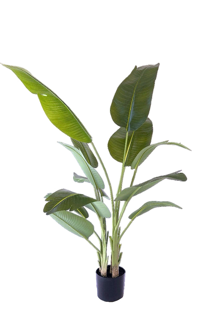 Kunstplant Strelitzia 180cm