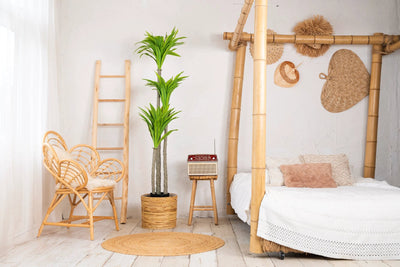 Kunstplant Yucca 170cm by NeverLeafs