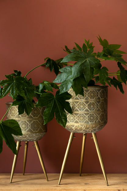 Plant Stand Botanique L