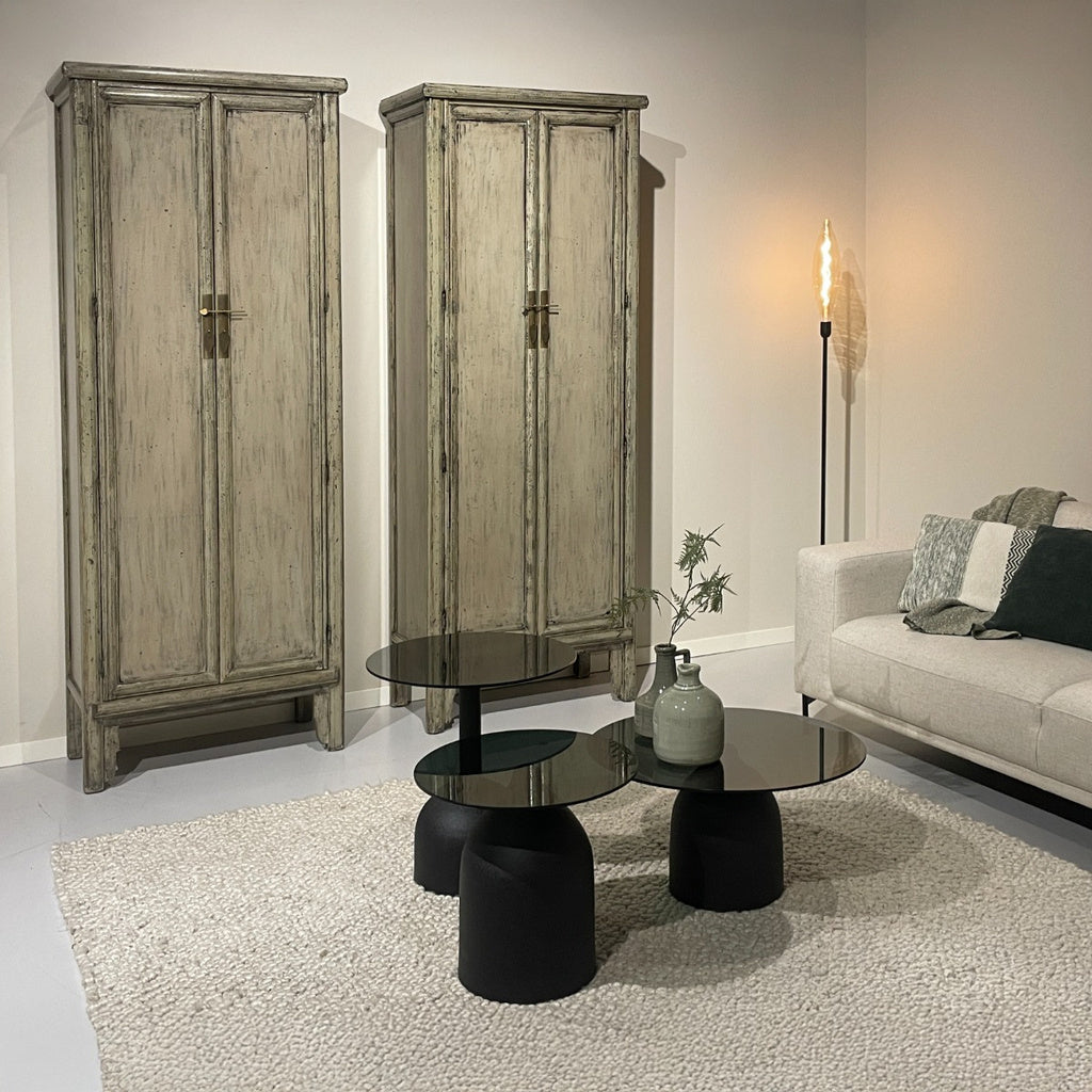 Icons M-5 two door cabinet - depauwwonen