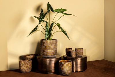 Vivienne Brown cement ronde pot rechthoeken XXL by PTMD