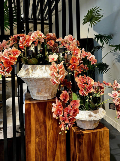 Daven Cream poly shell pot rond laag S by PTMD