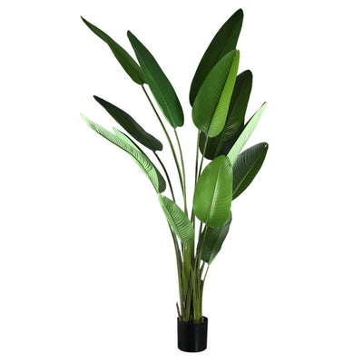 Kunstplant Groen Strelitzia XL by PTMD