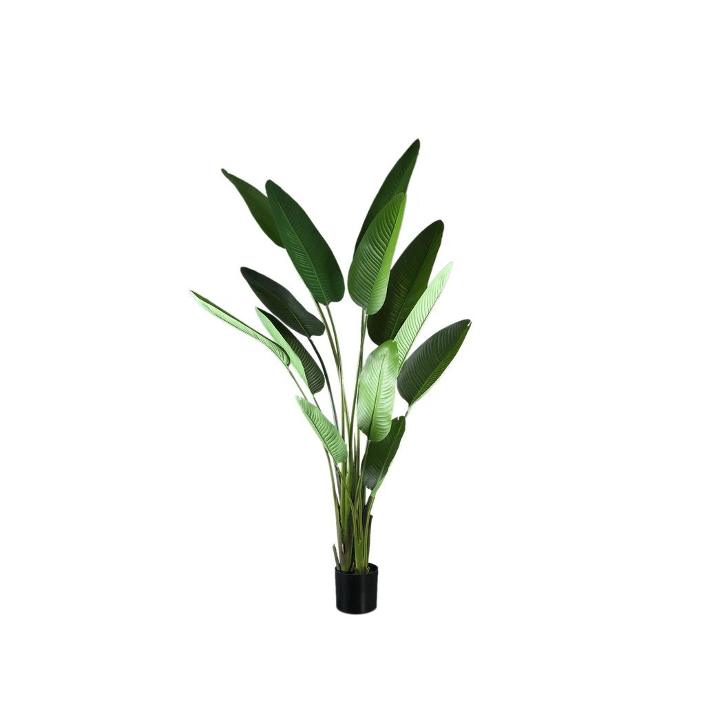Kunstplant Groen Strelitzia L by PTMD