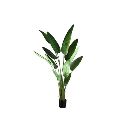 Kunstplant Groen Strelitzia L by PTMD