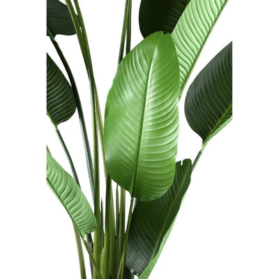 Kunstplant Groen Strelitzia L by PTMD