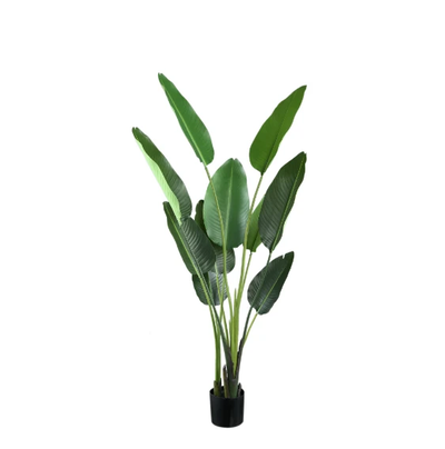 Kunstplant Groen Strelitzia M by PTMD