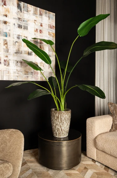Kunstplant Groen Strelitzia M by PTMD