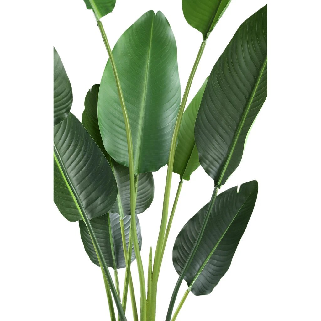 Kunstplant Groen Strelitzia M by PTMD