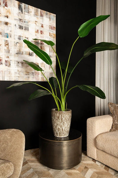 Kunstplant Groen Strelitzia M by PTMD
