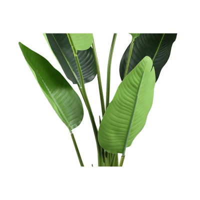 Kunstplant echte touch strelitzia - S by PTMD
