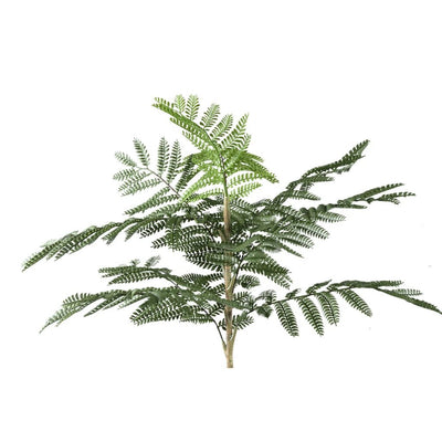 Kunst Jacaranda plant in pot by PTMD