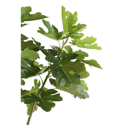 Kunst Groene vijgenboom in pot L by PTMD