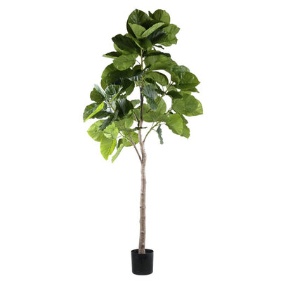 Kunst Ficus in pot L by PTMD