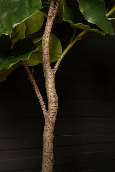 Kunst Ficus in pot M by PTMD