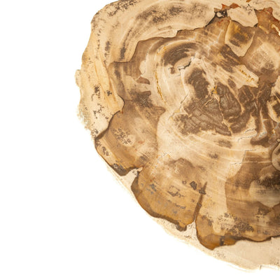 Jisse Natuurlijke Versteend Houten Bijzettafel by PTMD