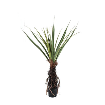 Kunstplant Pandanus - 150 cm by PTMD