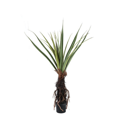 Kunstplant Pandanus - 150 cm - depauwwonen