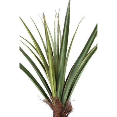 Kunstplant Pandanus - 150 cm by PTMD