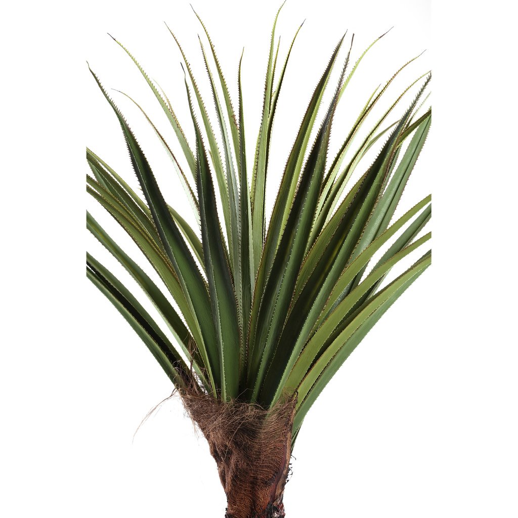 Kunstplant Pandanus - 210 cm - depauwwonen