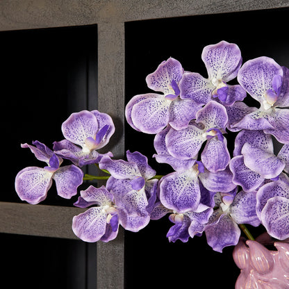 Boekenkast Brussels Black | 5 compartments - 2 doors - depauwwonen