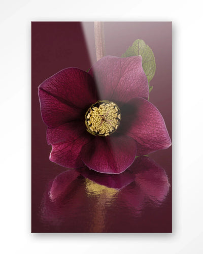 Moderne kunstprint van de kerstroos door Urban Cotton, glasart en wandkleed met elegante bloemenprint voor muurdecoratie