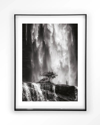 Germinate - Moderne Wanddecoratie | Artprint, Glass Art & Wandkleed by Urban Cotton