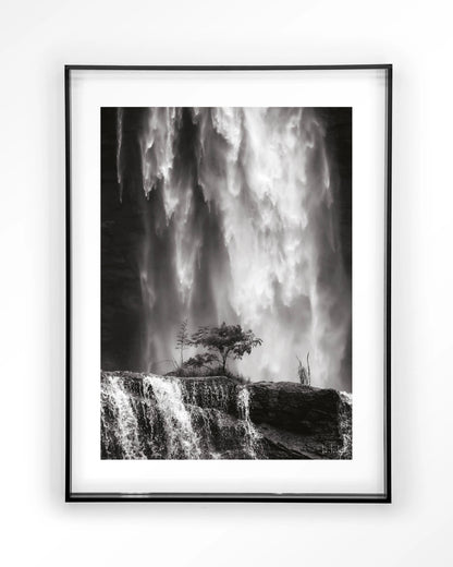 Germinate - depauwwonen