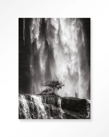 Germinate - depauwwonen