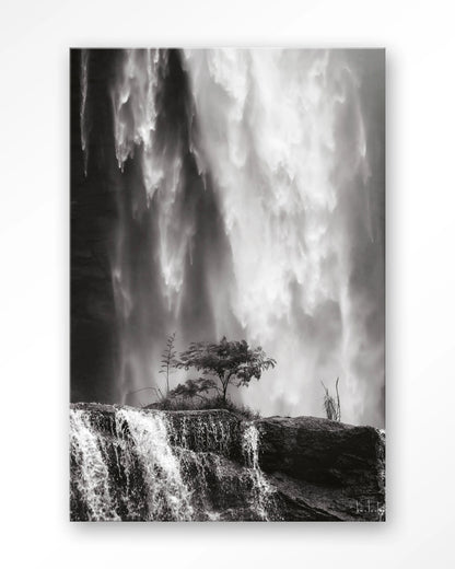 Germinate - depauwwonen