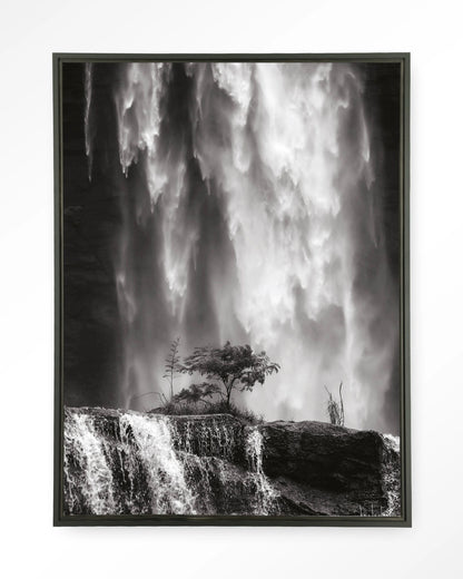 Germinate - depauwwonen